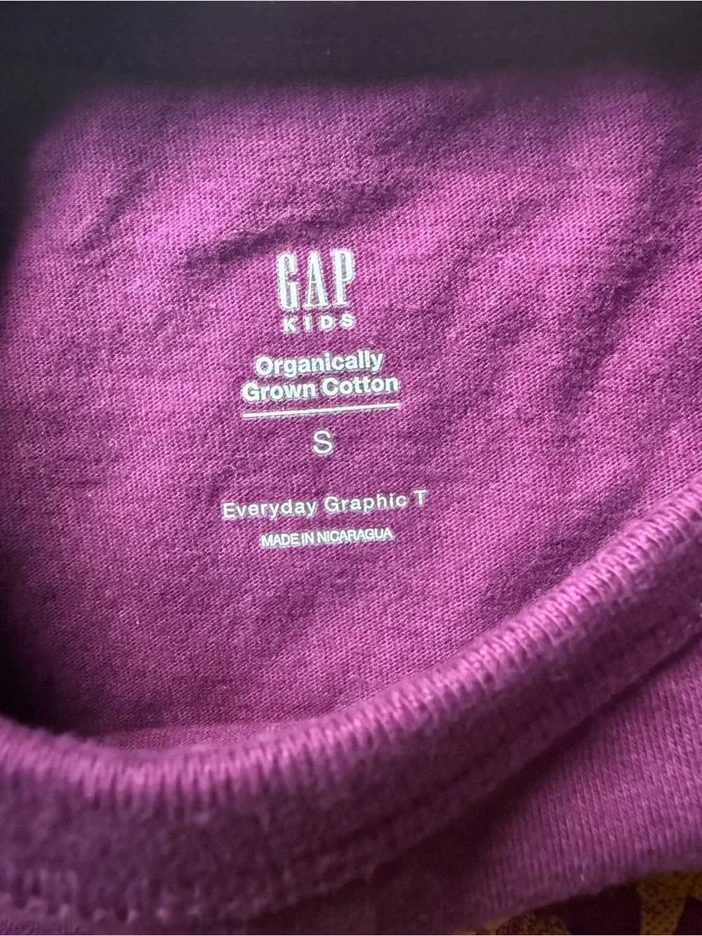 GAP Kids Short-Sleeve Tee - Maroon with Orange Dino Print